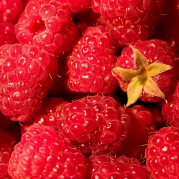 Raspberry Ketone Glucoside (RKG)