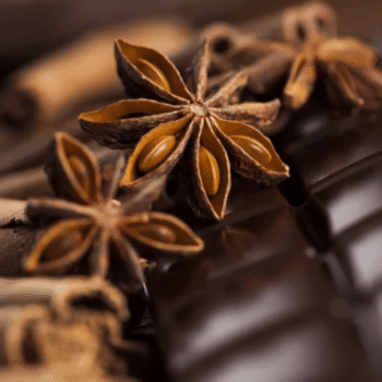 Shikimic Acid Powder